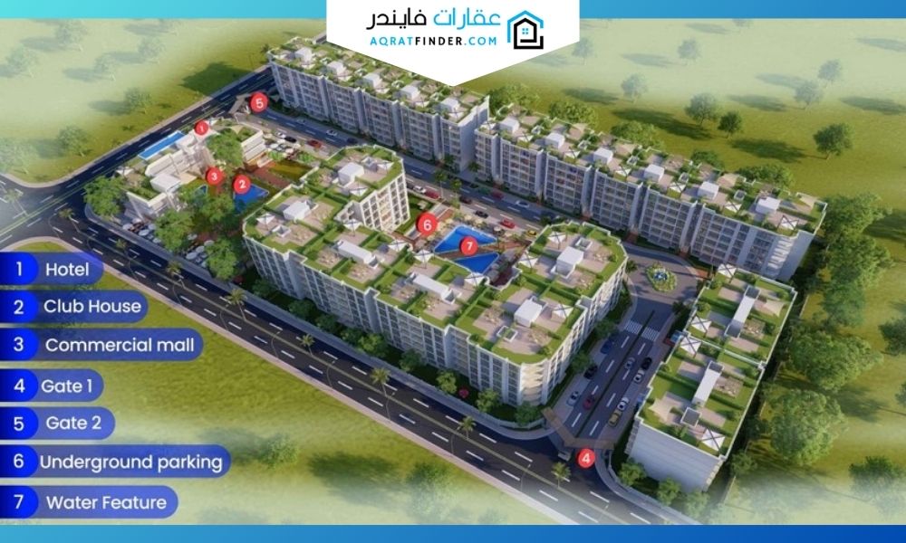 روفان سيتي الشيخ زايد