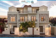 Orchida New Zayed