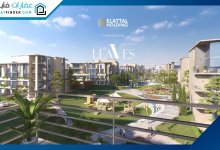 Compound Leaves Sheikh Zayed