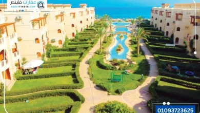 بدر الساحل الشمالي