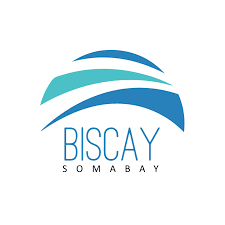 شركة بيسكاي للتطوير والاستثمار العقاري Biscay Developments 