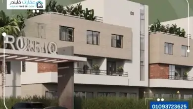 رواق الشيخ زايد