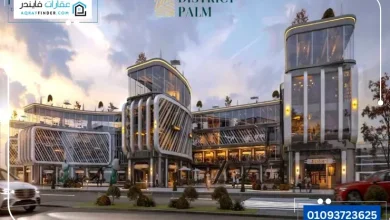 District Palm Mall New Capital