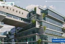 مول Bridges الشيخ زايد