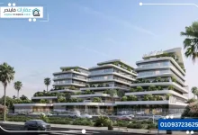 مول ذا ويف الشيخ زايد