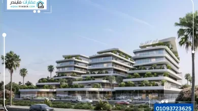 مول ذا ويف الشيخ زايد