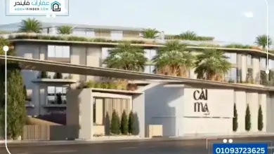 كالما الشيخ زايد
