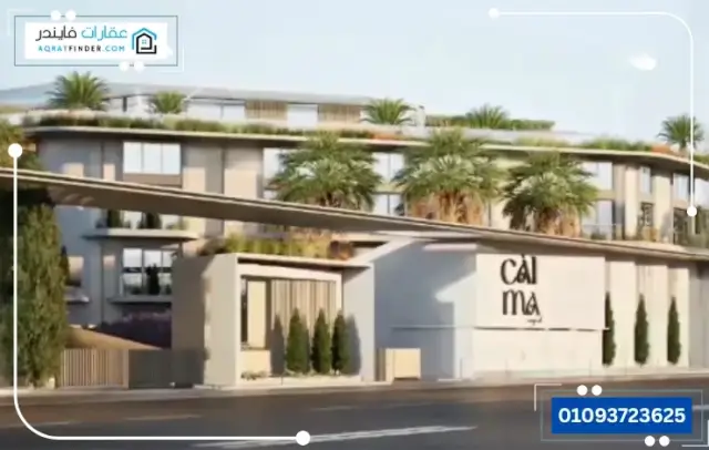 كالما الشيخ زايد
